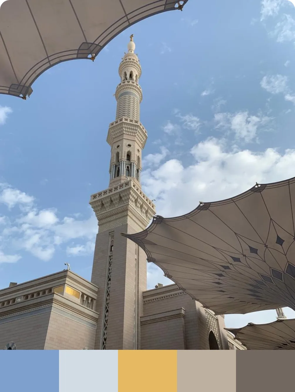 Colors — Arabia