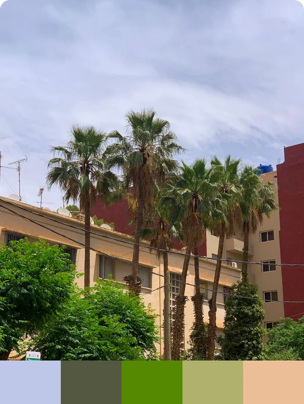 Colors — Oujda, Maroc